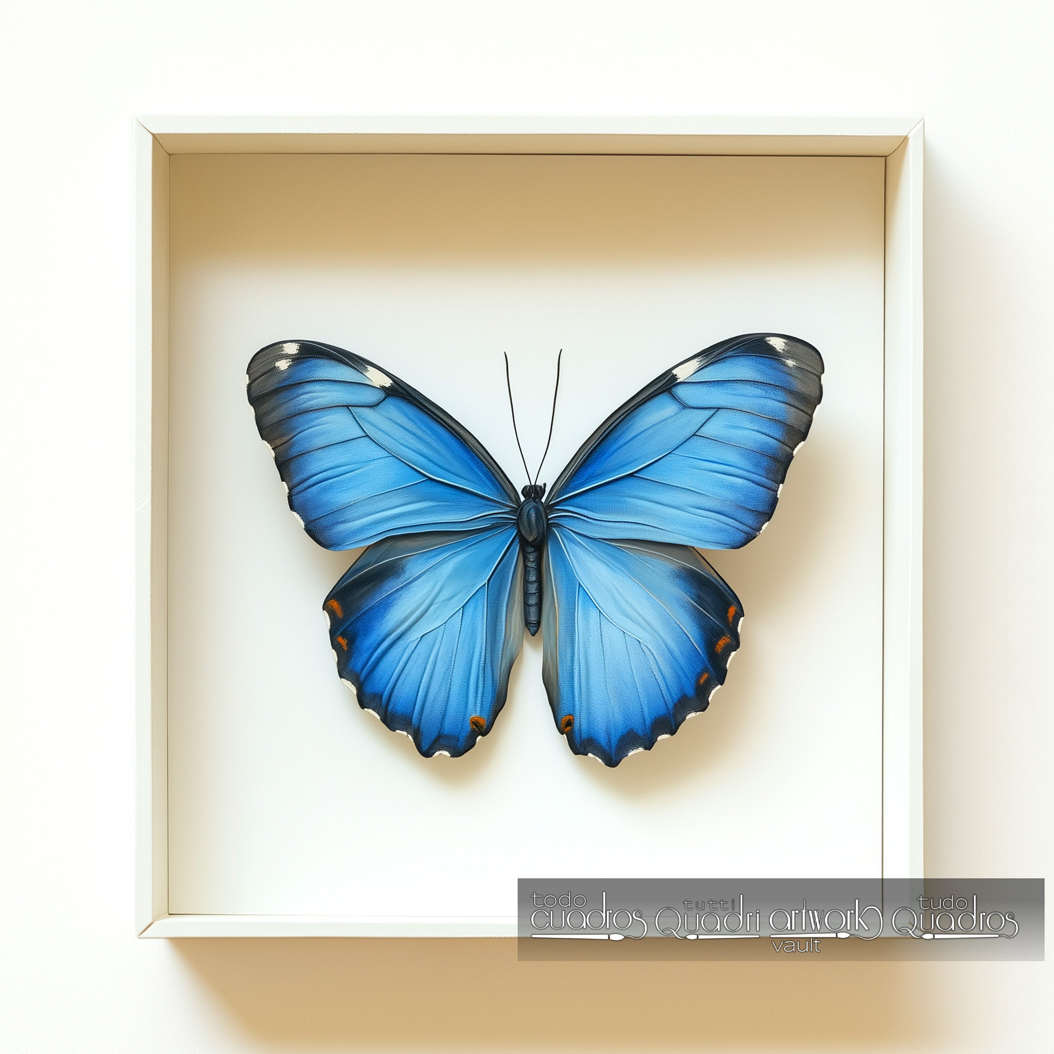 Framed Butterfly