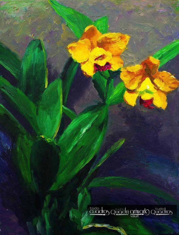 Meadow buttercups, Floral Oil
