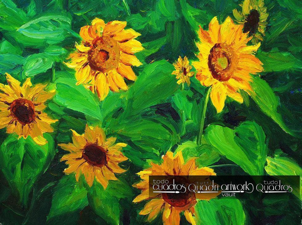 Sunflowers, Floral Oil